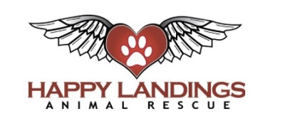 Happy Landings Mahjong Benefit logo