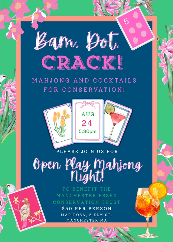 Mahjong and Cocktails for Conservation