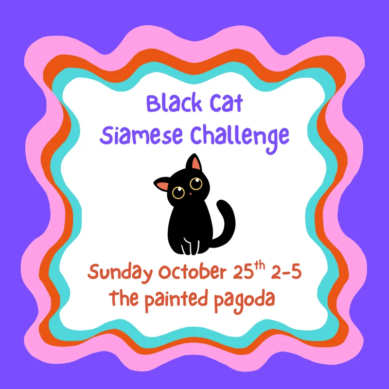 Black Cat - Siamese Challenge