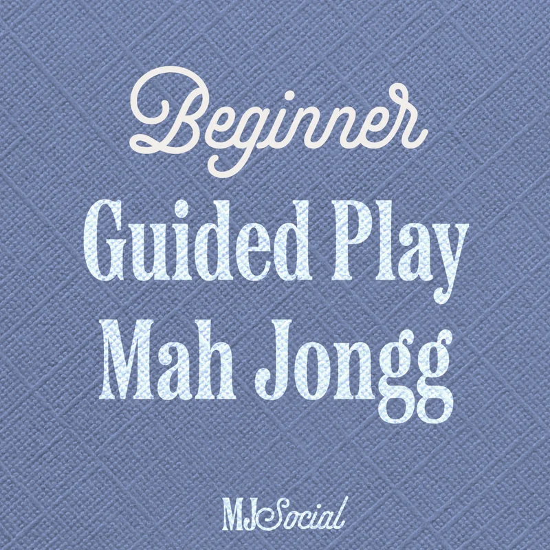 Beginner Guided Play